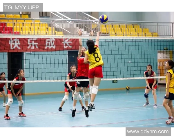 最新排球实力排行榜揭晓深圳排球队稳居第一名引领风骚 最新排球实力排行榜揭晓深圳排球队稳居第一名引领风骚